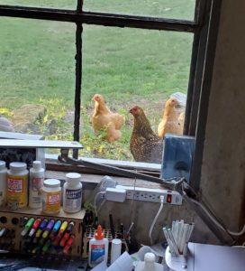 chickens in shop window the genie