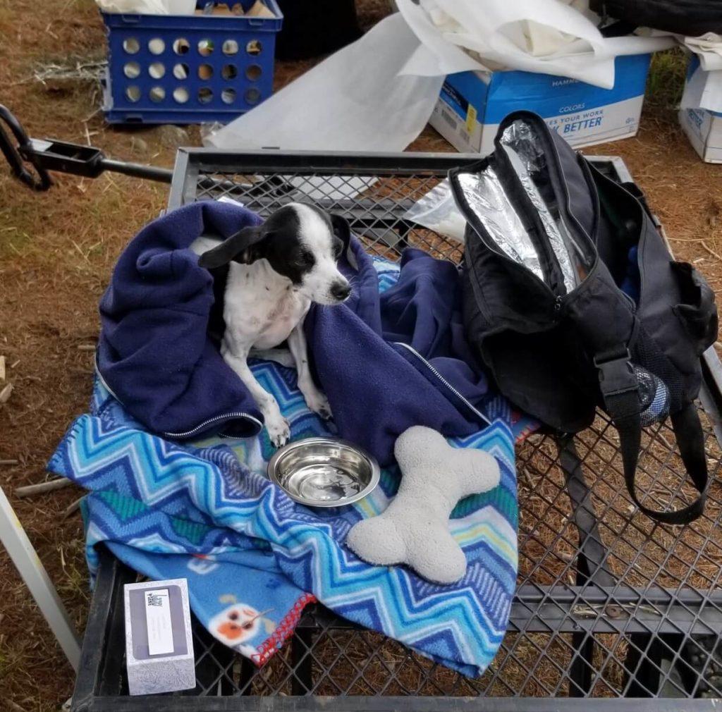 sammy at first show the genie