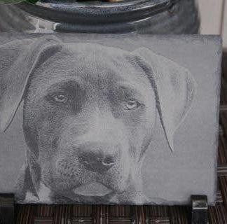 Slate Photo Memorial HD